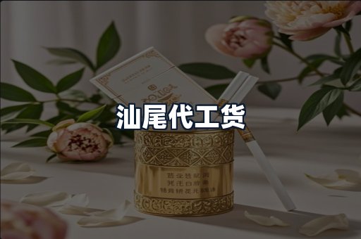 汕尾代工货